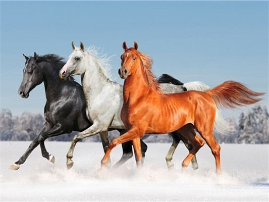 De Drie Paarden