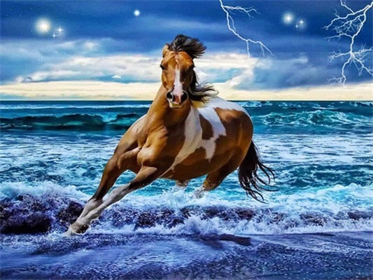 Paard in de Zee