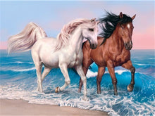 Romantische Paarden