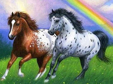 Regenboog Paarden