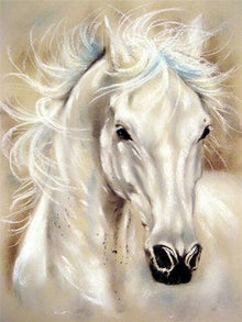 Wit Paard