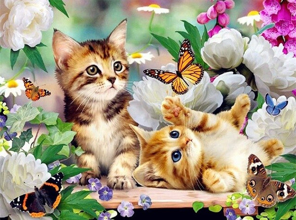 Katjes met Vlinders