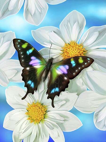 Witte Bloemen Vlinders