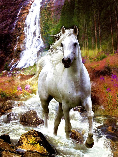 Paard met Waterval