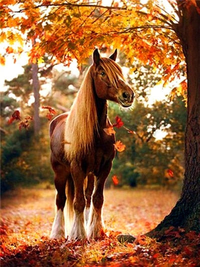 Herfst Paard