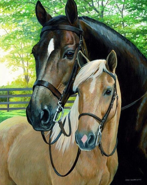 Paarden Liefde